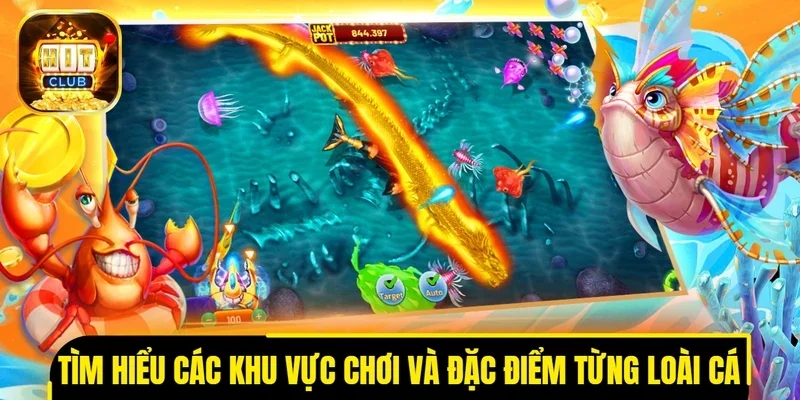 Tìm hiểu về các khu vực chơi và đặc điểm từng loài cá